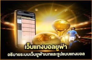 เว็บแทงบอลยูฟ่า